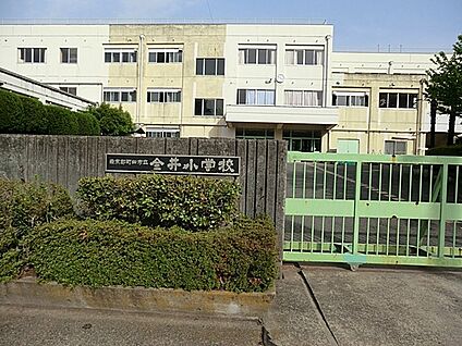 町田市立金井小学校 1100m(14分)