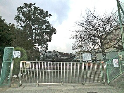 横浜市立日野小学校 800m(10分)