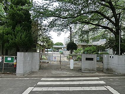川崎市立三田小学校 900m(12分)