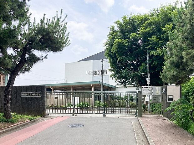 横浜市立芹が谷小学校(約170m・徒歩3分)