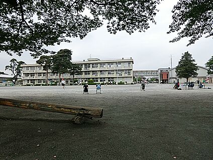 相模原市立弥栄小学校 400m(5分)