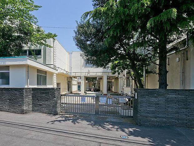 横浜市立常盤台小学校(約240m・徒歩3分)