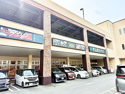 食品館あおば 大井松田店 1521m(20分)