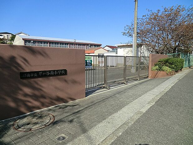 横浜市立芹が谷南小学校(約300m・徒歩4分)