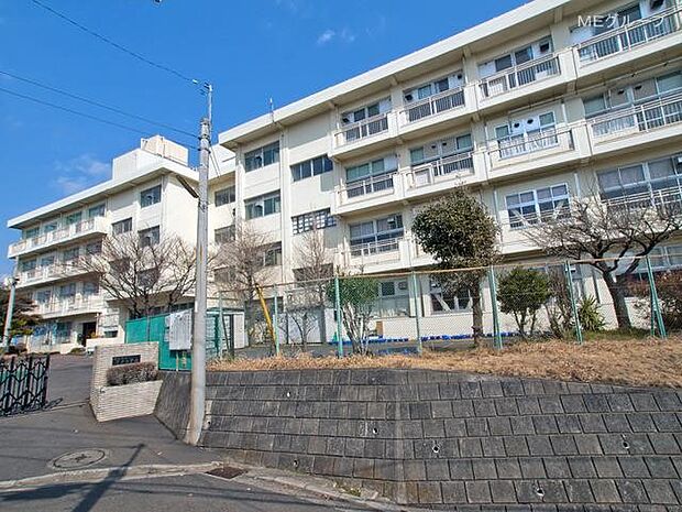 横浜市立平戸小学校(約1,000m・徒歩13分)