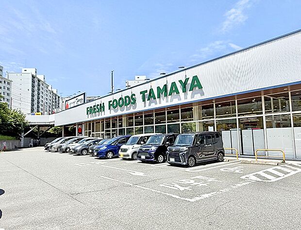 たまや深谷店（約700m・徒歩9分）