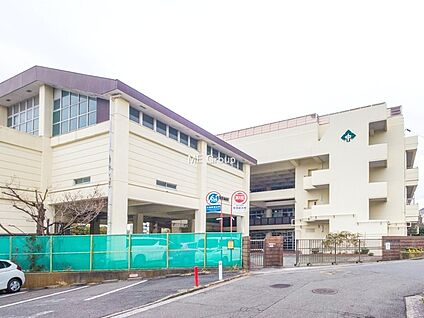 横浜市立森中学校 800m(10分)