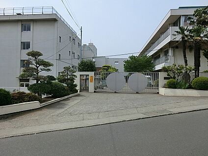 秦野市立大根小学校 900m(12分)