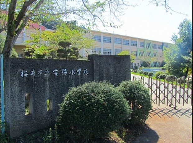 桜井市立安倍小学校（約1,169m）