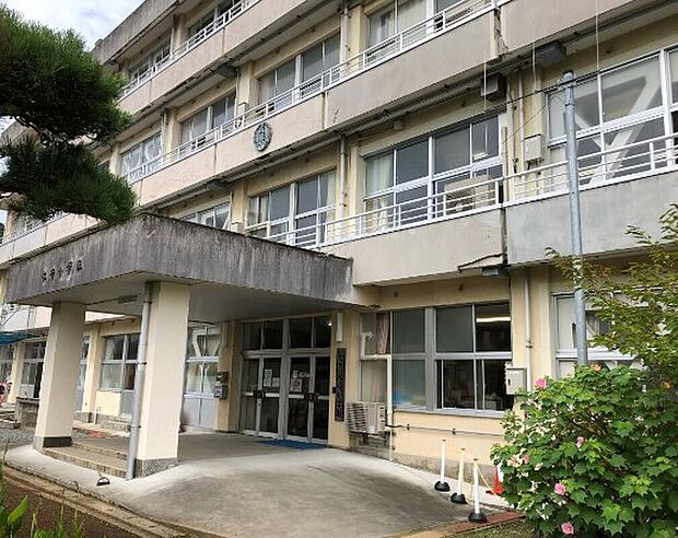 永崎小学校(約1m)