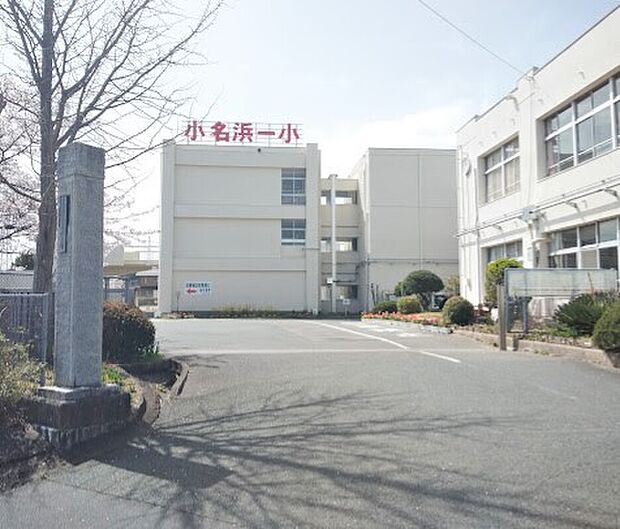 小名浜第一小学校（約874m）
