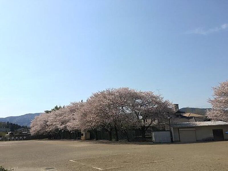 笠間市立岩間第一小学校まで200m