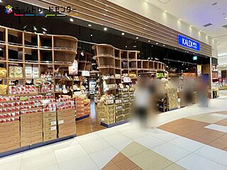 ブルーミングガーデン　土浦市天川１丁目２期 その他