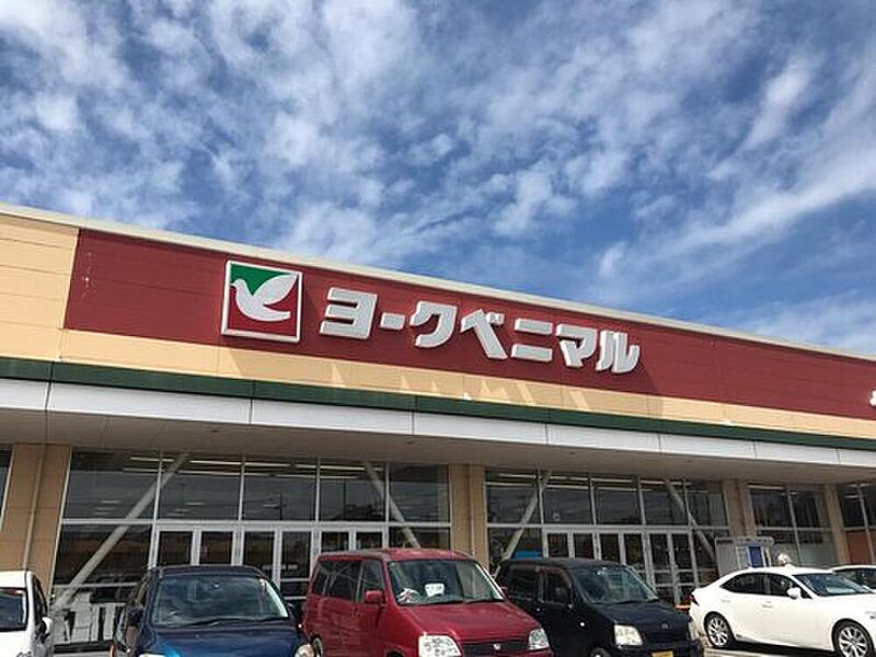 【買い物】ヨークベニマル谷田部店