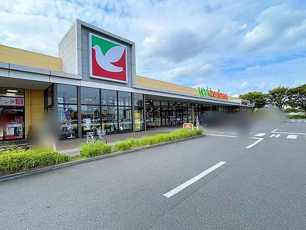 ヨークベニマル牛久南店（約400m）