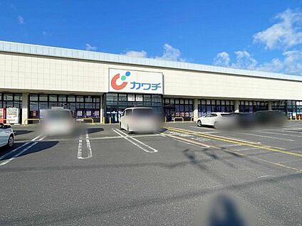 カワチ薬品竜ヶ崎店 1470m(徒歩19分)
