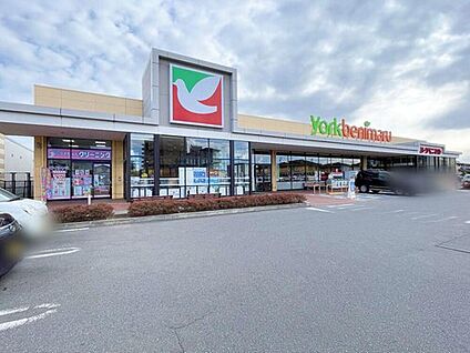 ヨークベニマル土浦生田町店 1160m(徒歩15分/車で3分)