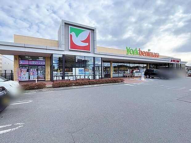 ヨークベニマル土浦生田町店(約1,160m)