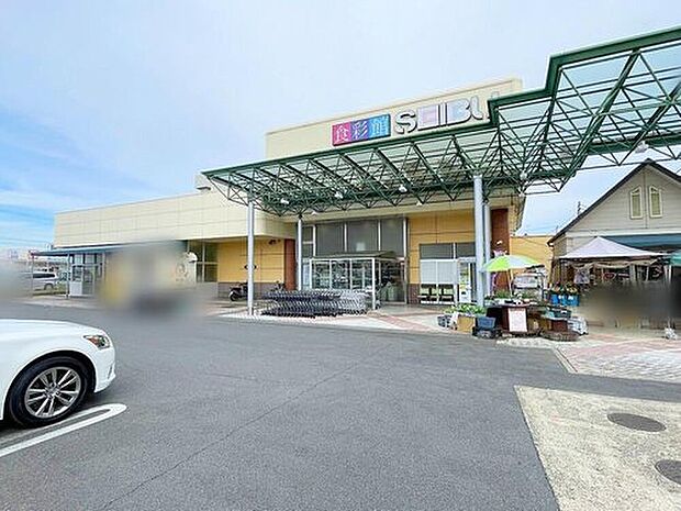 スーパー  セイブ食彩館元吉田店（約1,000m）