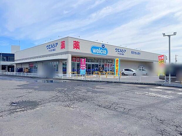 ウエルシアつくば小茎店(約1,190m)