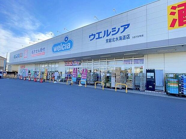 ウエルシア常総北水海道店（約940m）