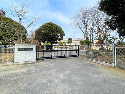 土浦市立下高津小学校 1900ｍ(徒歩24分)