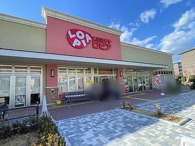 ロピア取手店(約1,300m)