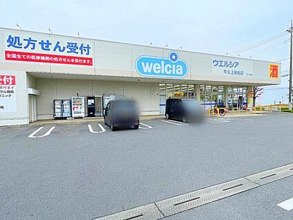 ウエルシア牛久上柏田店 2180m(徒歩28分)