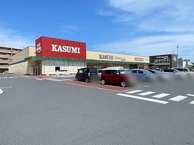 カスミフードスクエア水戸堀町店(約560m)