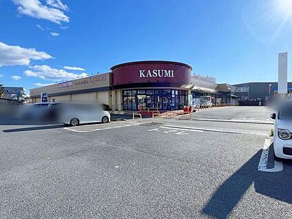 カスミ平須店 480ｍ(徒歩6分)