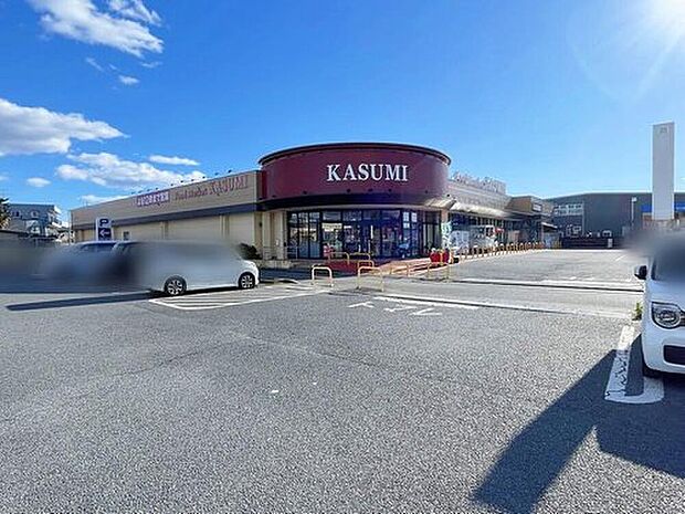 カスミ平須店（約480m）