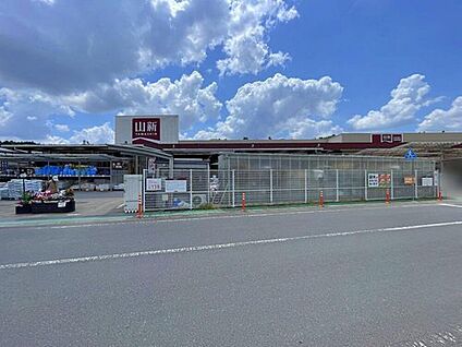 ホームセンター山新渡里店 1200ｍ(徒歩15分、車3分)