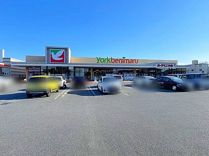 ヨークベニマル土浦生田町店 850m(徒歩11分)