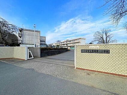 つくば市立茎崎第一小学校 1300ｍ(徒歩17分)