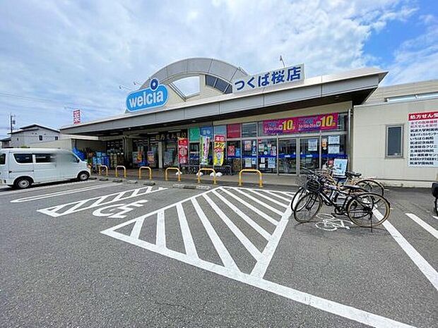 ウエルシアつくば桜店(約2,800m)
