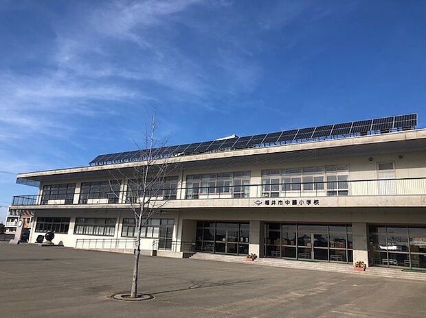 福井市立中藤小学校（約1,400m）