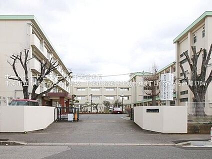 千葉市立千城台みらい小学校 247m (徒歩4分)