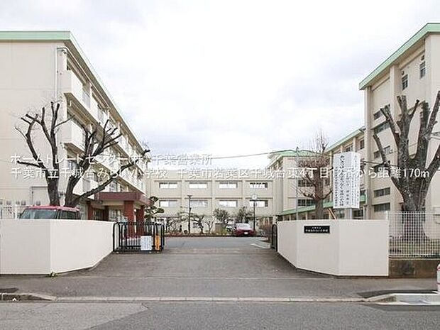 千葉市立千城台みらい小学校(約247m)