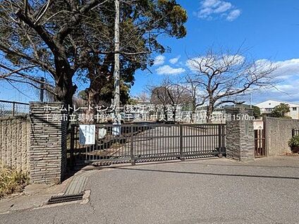 千葉市立葛城中学校 536m(徒歩7分)