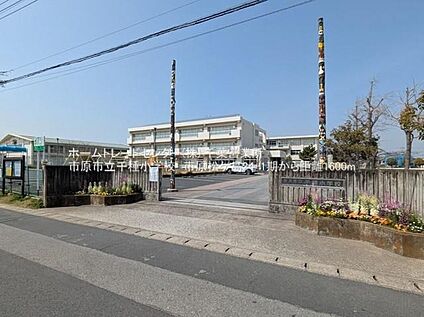 市原市立千種小学校 1575ｍ(徒歩20分)