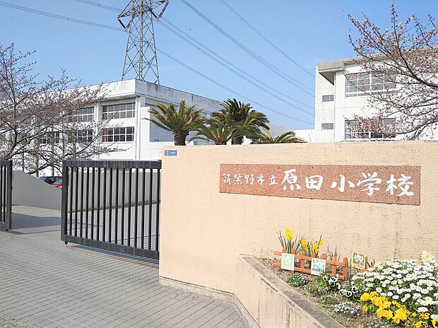 筑紫野市立原田小学校(約1,100m)