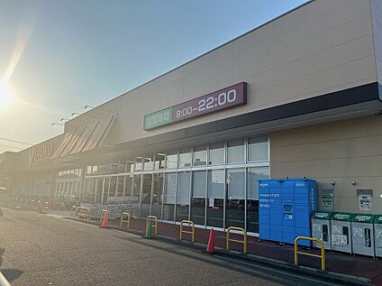 ヤオコー 上福岡駒林店 約350ｍ(徒歩5分)
