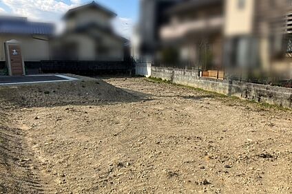 現地写真