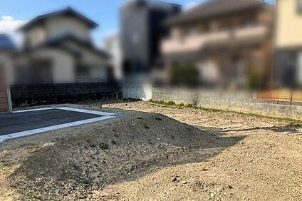 現地写真