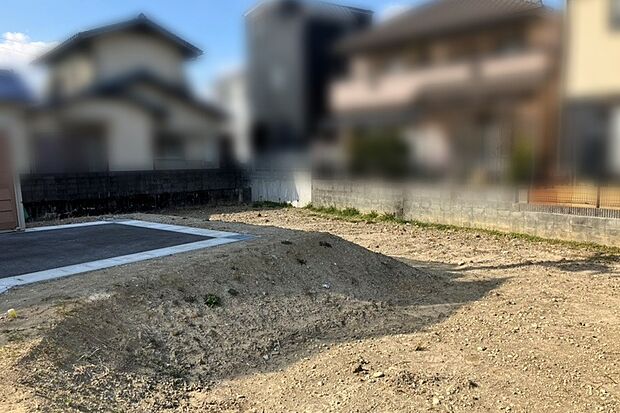 【現地写真】2026年2月撮影