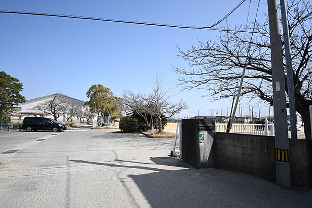 鳴門第一小学校(約350m)