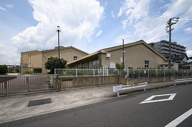 藍住町東小学校(約600m)