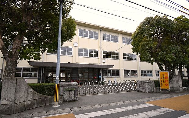 城西中学校(約350m)