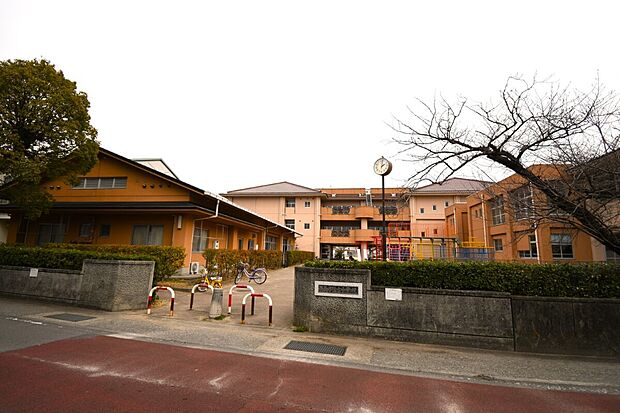 千松小学校(約800m)