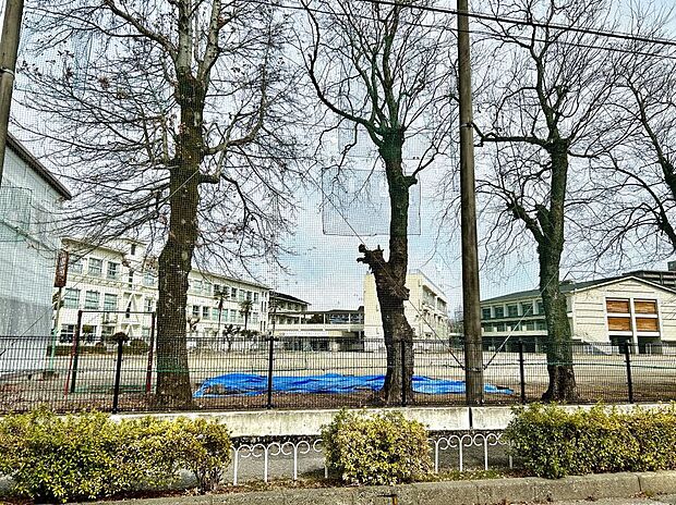 高知市立潮江東小学校(約500m)